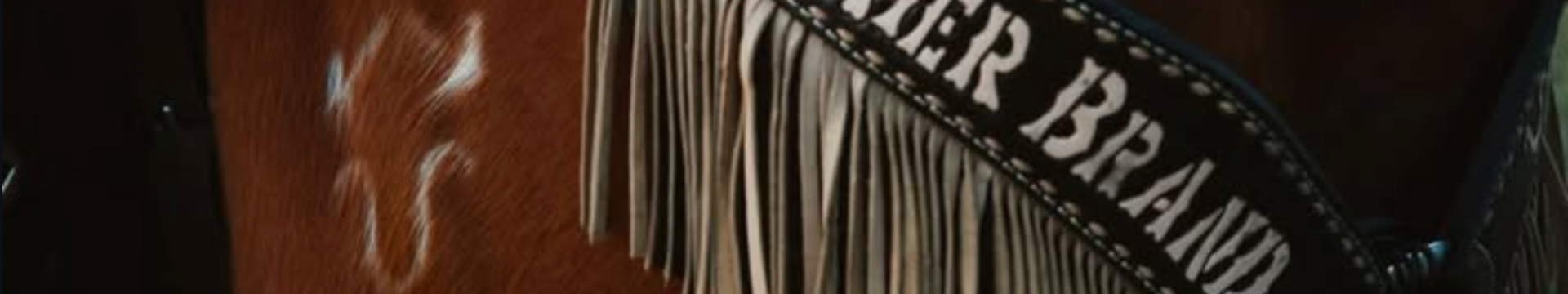 4 Tips to Properly Store Your Saddle
